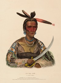 TO-KA-CON. A SIOUX CHIEF., from History of the Indian Tribes of North America