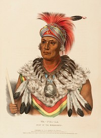 WA-PEL-LA. CHIEF OF THE MUSQUAKEES, from History of the Indian Tribes of North America