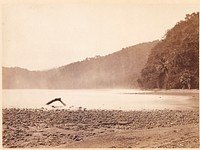 Tropical Scenery: The Terminus of the Proposed Canal, Limon Bay (Darien Expedition)