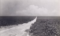 Road through the Wilds of New Jersey from Pemberton to Barnegat