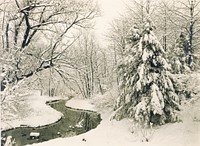 Winter Scene in Fairmount Park, Philadelphia