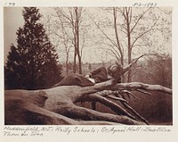 Beatrice Thom on Tree, Haddonfield, New Jersey