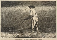 The Veteran in a New Field, from Frank Leslie's Illustrated Newspaper, July 13, 1867