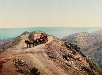 Farnsworth's Loop, Santa Catalina Island