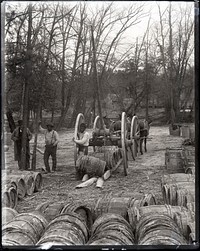 Unloading of Cart with Barrels for Turpentine