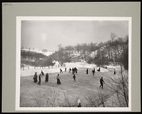 National Zoological Park, Ice-Skating at Rock Creek