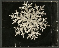 Wilson Bentley Photomicrograph of Fernlike Stellar Snowflake No. 1095  by Wilson Bentley