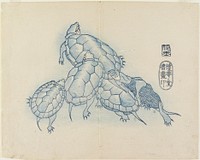 Turtles (1830s) print in high resolution by Yamada Hogyoku. Original from The Minneapolis Institute of Art. Original from the Minneapolis Institute of Art.