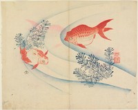 Two Goldfish in Water (1830s) print in high resolution by Yamada Hogyoku. Original from The Minneapolis Institute of Art. Original from the Minneapolis Institute of Art.
