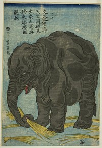 Picture of Large Elephant from India (Tenjiku hakurai dai zo no shashin), An Attraction at Ryogoku in the Eastern Capital (Toto Ryogoku mimono) (1863) print in high resolution by Utagawa Yoshikazu. Original from the Art Institute of Chicago. 