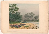 Naturscenen aus Kamtjihatka [i.e. Kamtchatka] T.4 von den umgebungan des Flusse Bästraja Reka, in July (1800). Original from the Library of Congress.