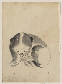 Buyenlarge A Cat cleaning its claws by Hokusai Katsushika. Original public domain image from the Library of Congress.