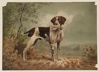 Dog (1879) Herman Bencke. Original from the Library of Congress.