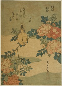 Hokusai's Warbler and Roses. Original from The Art Institute of Chicago.