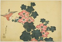 Hokusai's Hibiscus and Sparrow. Original from The Art Institute of Chicago.