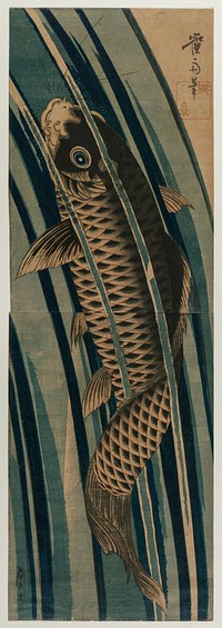 Carp Ascending a Waterfall (early or mid-1830s) print in high resolution by Keisai Eisen. Original from The Cleveland Museum of Art.