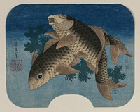 Hokusai's Carp Swimming by Water Weeds. Original from The Cleveland Museum of Art.