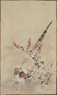 Pheasant and Grasses. Original from The Cleveland Museum of Art.