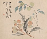 Loquat Tree of Japan. Original from The Cleveland Museum of Art.
