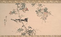 Pomegranate and Bird during first half 19th century painting in high resolution by Yamamoto Baiitsu.  Original from the Minneapolis Institute of Art.