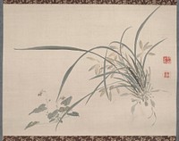 Studies from Nature: Plants, Fish, and Birds (Chinese Orchids) during first half 19th century painting in high resolution by Urakami Shunkin.  Original from The Minneapolis Institute of Art.