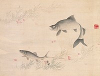 Studies from Nature: Plants, Fish, and Birds (Cherry Blossoms with Fish) during first half 19th century painting in high resolution by Urakami Shunkin.  Original from The Minneapolis Institute of Art.