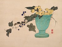 Studies from Nature: Plants, Fish, and Birds (Vase with Loquats) during first half 19th century painting in high resolution by Urakami Shunkin. Original from the Minneapolis Institute of Art.