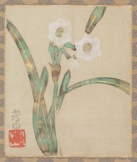 Narcissus during 18th–19th century painting in high resolution by Nakamura Hochu. Original from the Minneapolis Institute of Art.