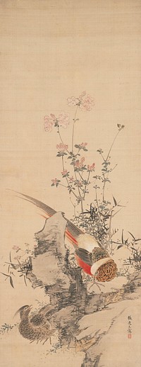 Flowers and Pheasants during 19th century painting in high resolution by Yamamoto Baiitsu. Original from the Minneapolis Institute of Art.