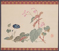 Begonia and Morning Glory (1834) painting in high resolution by Urakami Shunkin. Original from the Minneapolis Institute of Art.