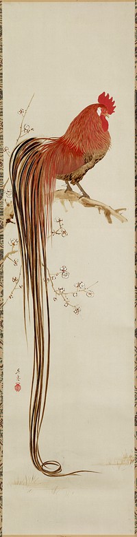 Long-tailed Rooster (19th century) painting in high resolution by Shibata Zeshin. Original from the Minneapolis Institute of Art.