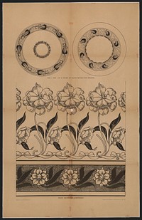 Peony design for embroidery (1891). Original from the Library of Congress.