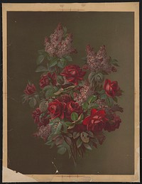 Bouquet of red roses and other flowers (1884). Original from the Library of Congress.