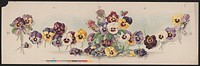 Bouquet of pansies in glass vase (1905). Original from the Library of Congress.