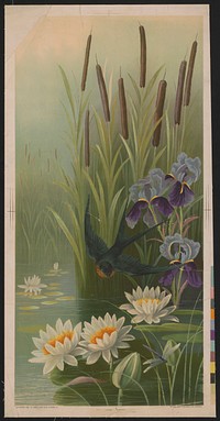 Bird flying over water with cat tail plants, Irises and water lilies (1897). Original from the Library of Congress.