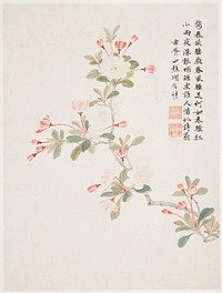 Crab-apple Blossom from a Flower Album of Ten Leaves (1656) painting in high resolution by Xiang Shengmo.  Original from the Minneapolis Institute of Art.