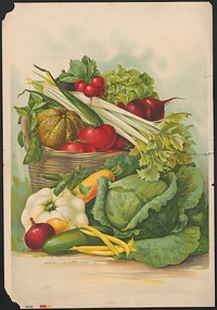 Vegetables. Original from the Library of Congress.