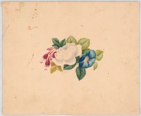 Flower arrangement with red rose or peony, a white blossom with red and yellow center, and blue bell-shaped blossoms, with foliage (1830). Original from the Library of Congress.