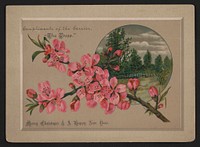 Merry Christmas & a Happy New Year (1880-1890). Original from the Library of Congress.