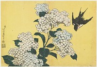 Hydrangeas and Swallow (ca.1833–1834) in high resolution by Katsushika Hokusai. Original from The Minneapolis Institute of Art.