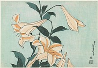 Lilies (ca.1833–1834) in high resolution by Katsushika Hokusai. Original from The Minneapolis Institute of Art. Original from the Minneapolis Institute of Art.