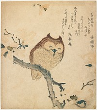 Horned Owl on Flowering Branch during 19th century print in high resolution by Kubota Shunman. Original from the Minneapolis Institute of Art.