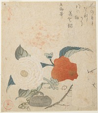 Plum Branch, a Peony Flower and a Metal Seal (1816) print in high resolution by Kubota Shunman.  Original from The Minneapolis Institute of Art.