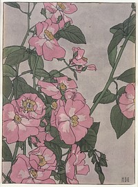 Untitled (Prairie Rose) (ca.1915) by Hannah Borger Overbeck. 