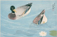 Ducks (1920) print in high resolution by Goyō Hashiguchi.  