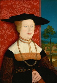 Margarethe Vöhlin (1527) by Bernhard Strigel.  