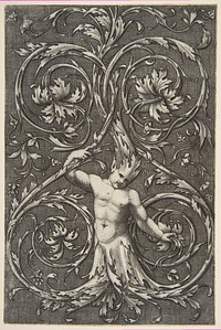 Grotesque with male figure with lower body and head of acanthus scrolls