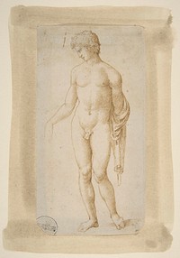 Standing Male Nude 