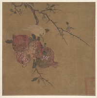 Pomegranates after Ma Lin by Unidentified artist