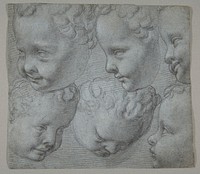 Studies of the Head of an Infant (after a three-dimensional model) by Poppi (Francesco Morandini)